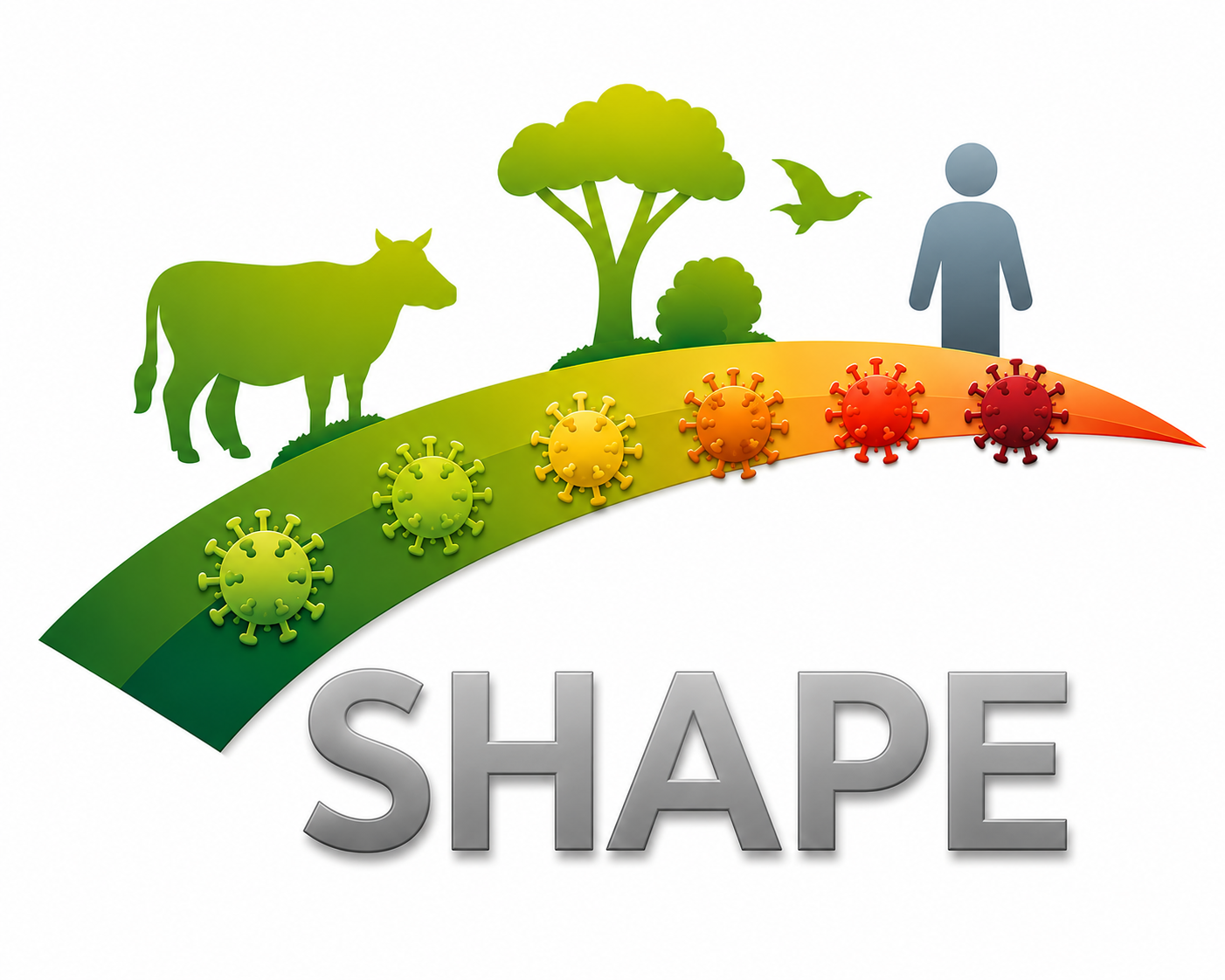 SHAPE